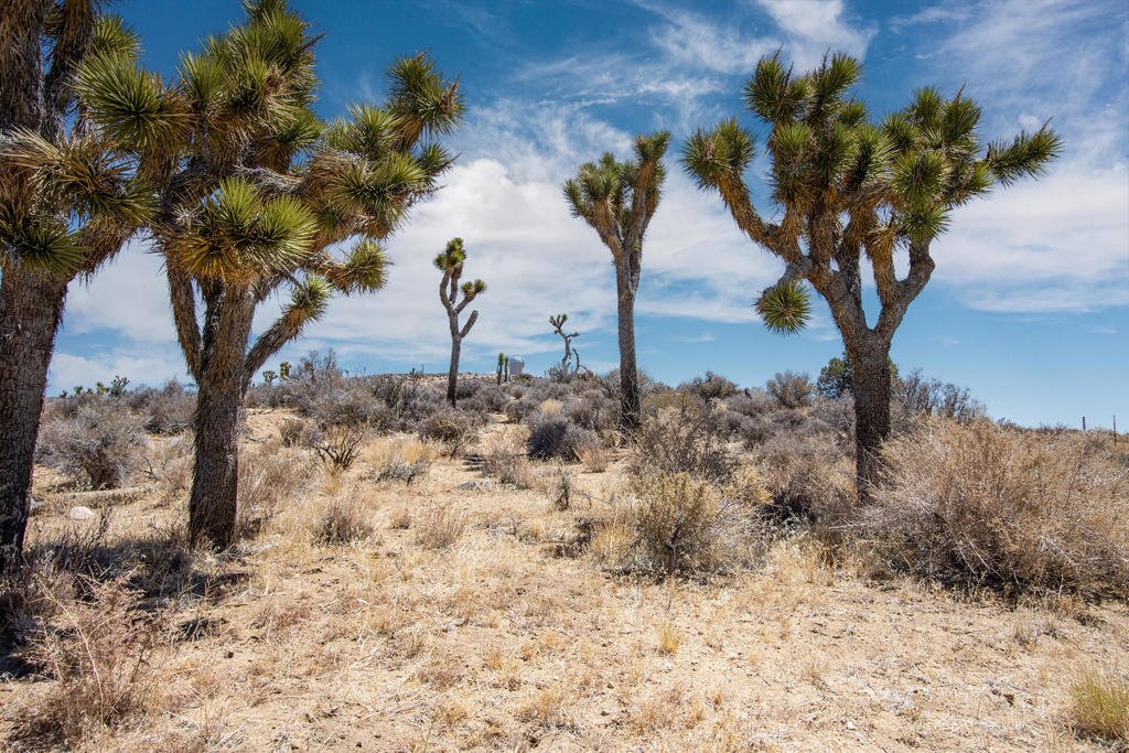 MLS #219133468PS image #15