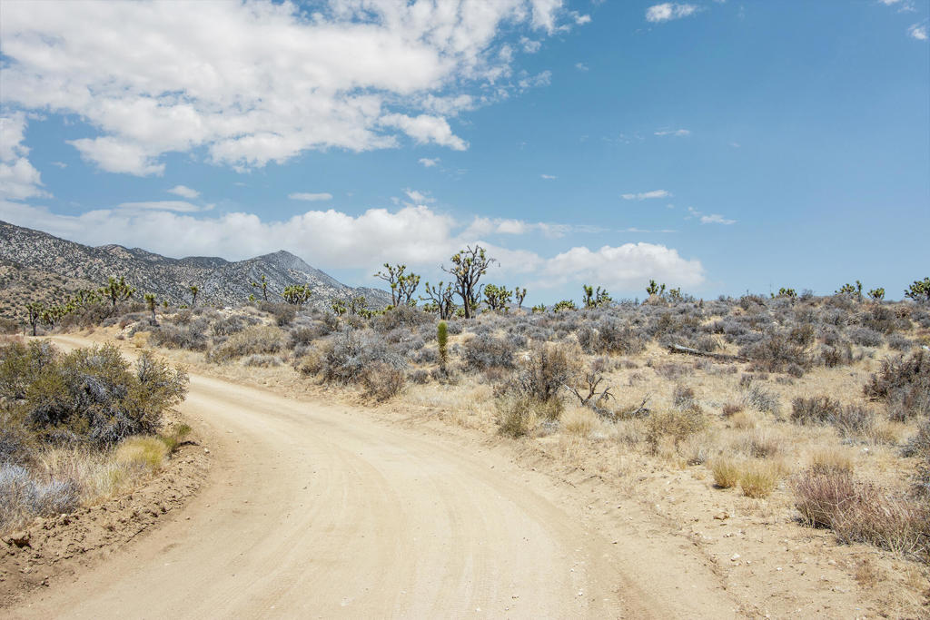 MLS #219133468PS image #2