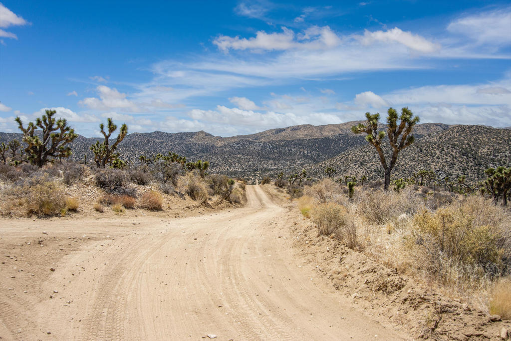 MLS #219133468PS image #5