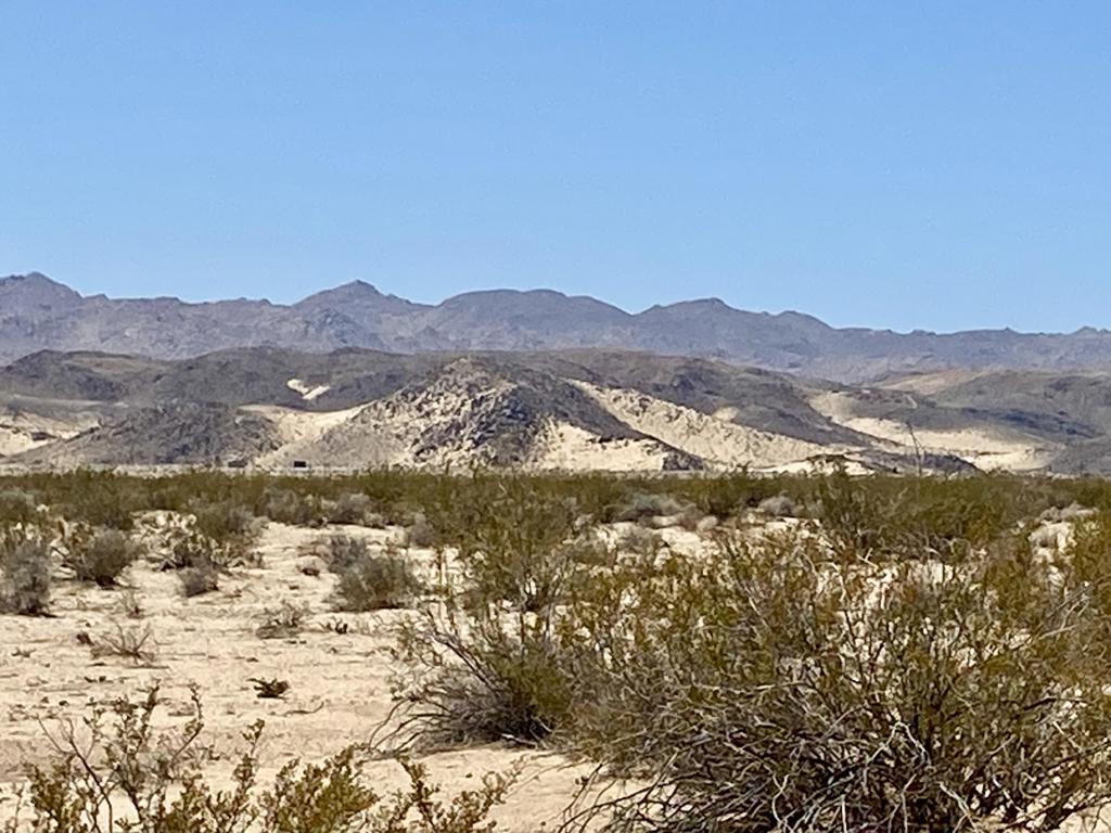 MLS #219133470PS image #1