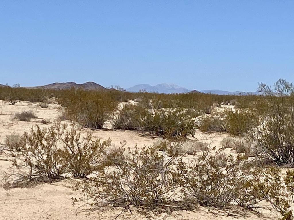 MLS #219133470PS image #11