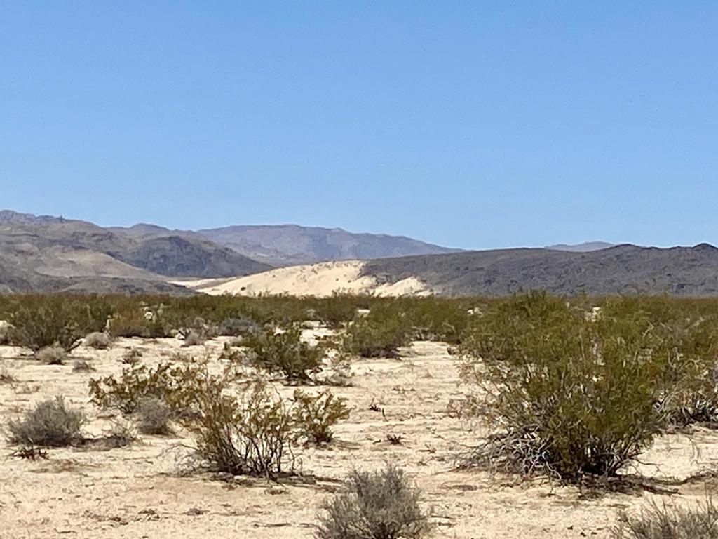 MLS #219133470PS image #15