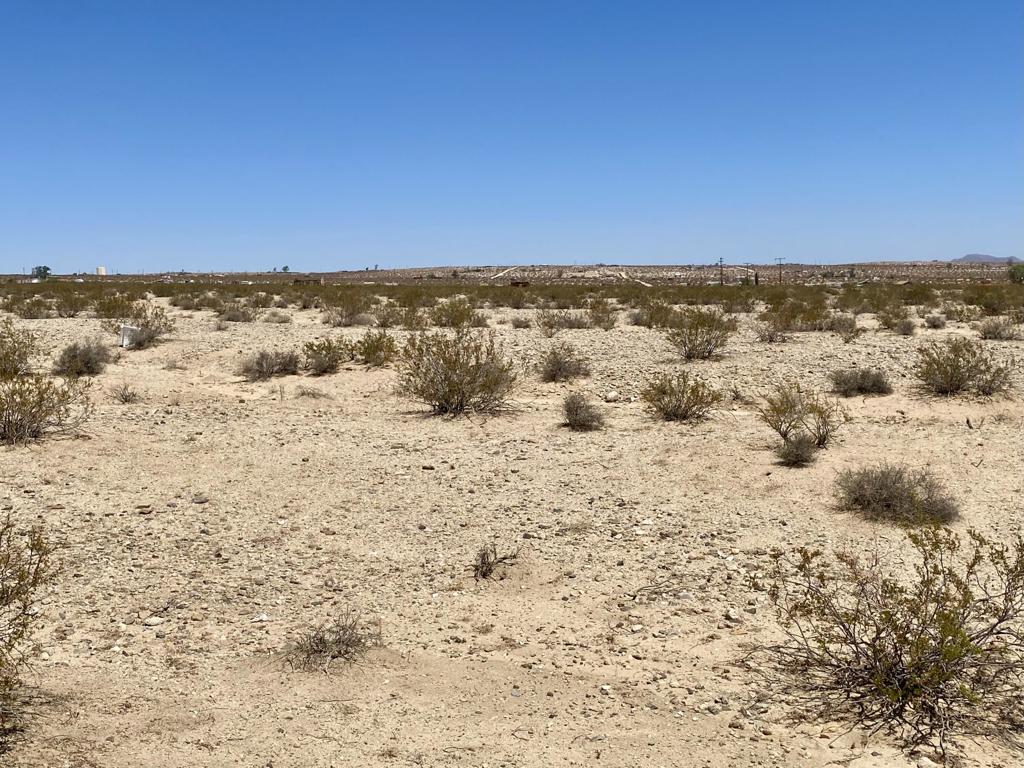 MLS #219133470PS image #19