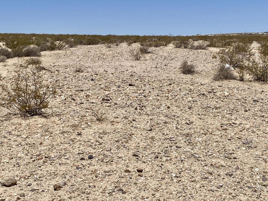 MLS #219133470PS image #32