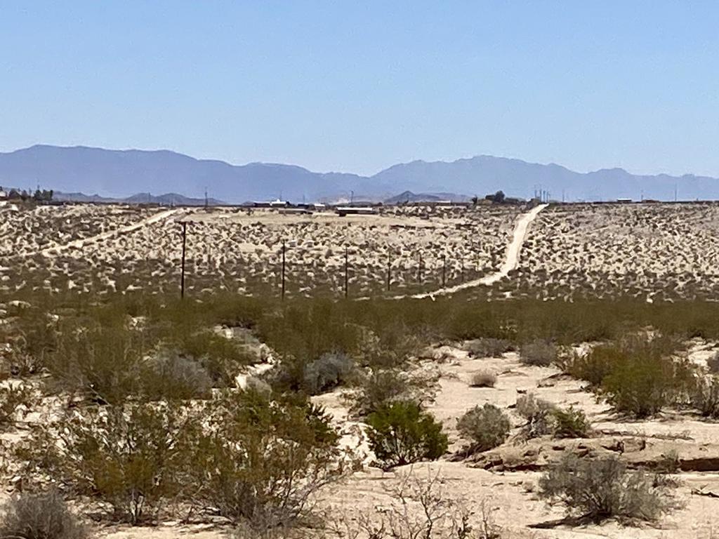 MLS #219133470PS image #4