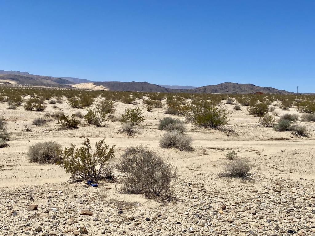 MLS #219133470PS image #5