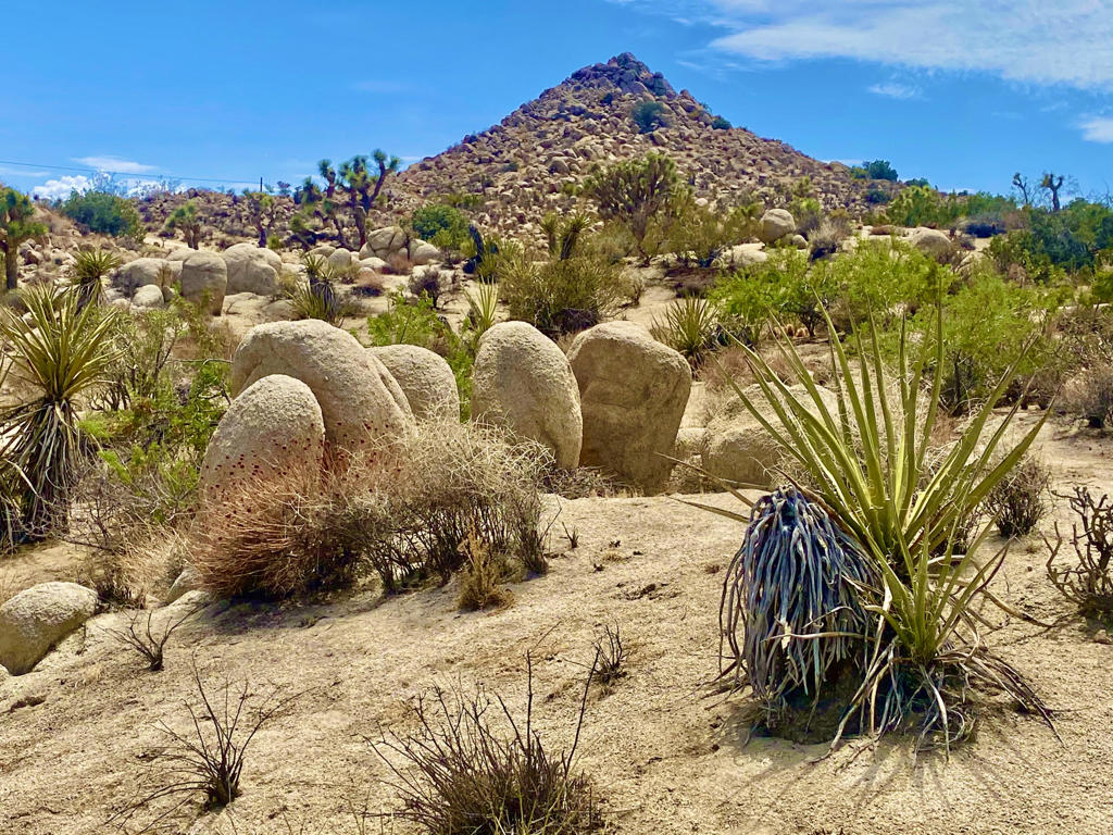 MLS #219133472PS image #0