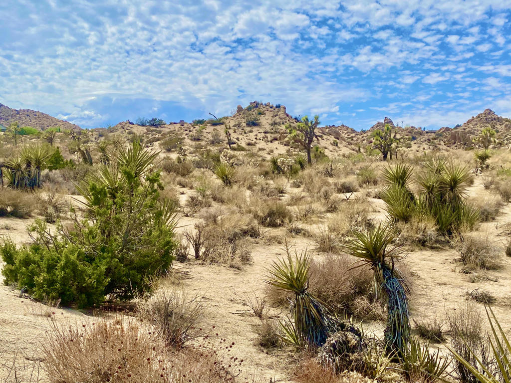 MLS #219133472PS image #11