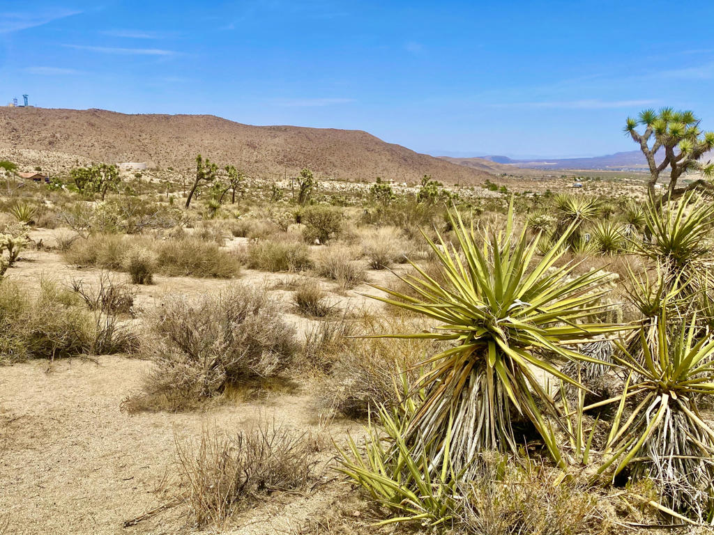 MLS #219133472PS image #12