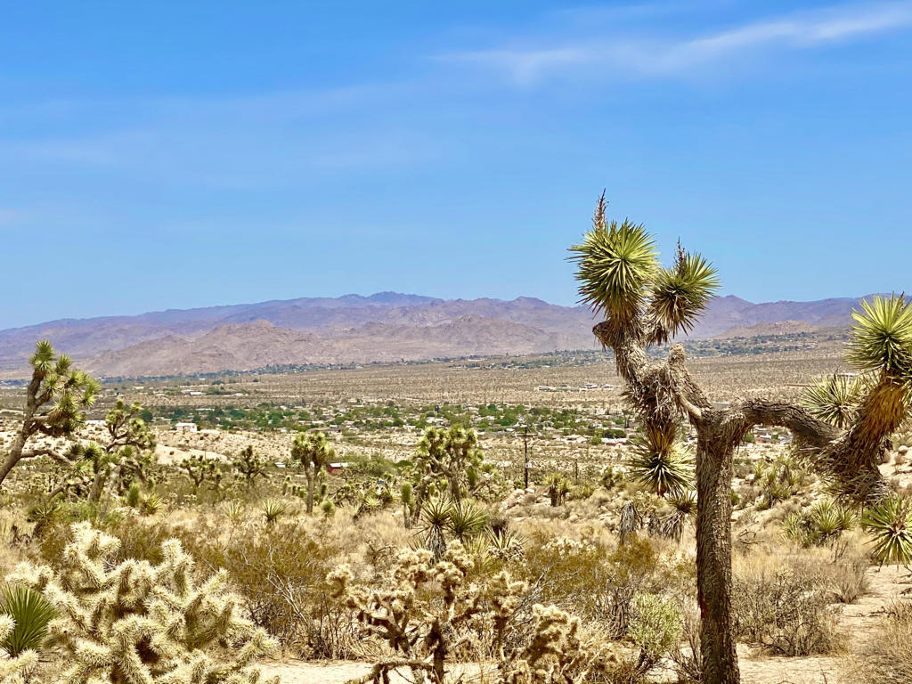 MLS #219133472PS image #15