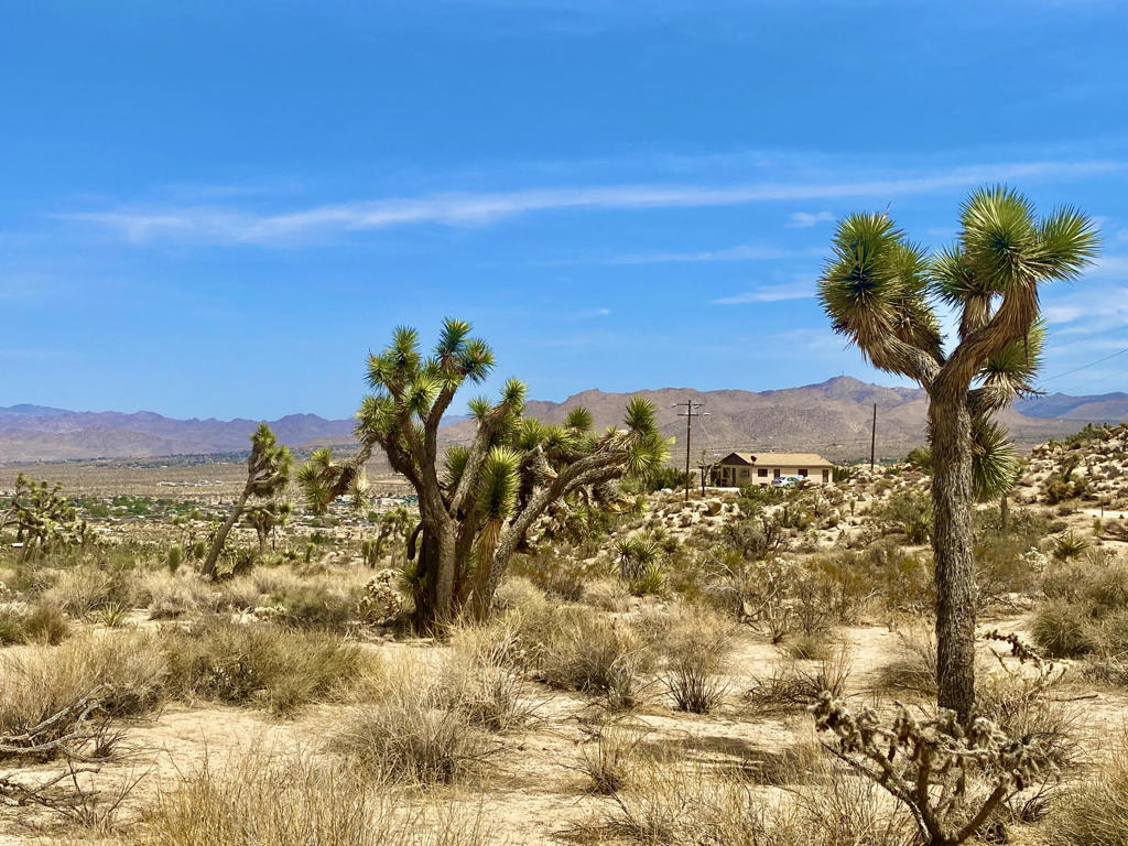 MLS #219133472PS image #16