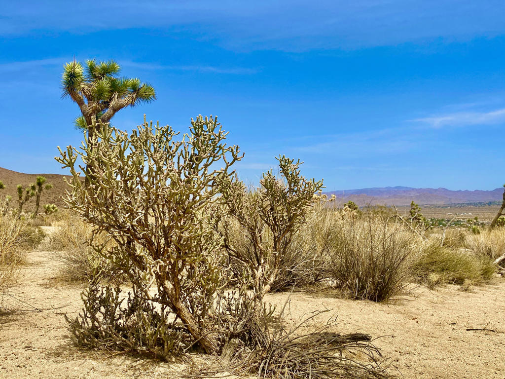 MLS #219133472PS image #17