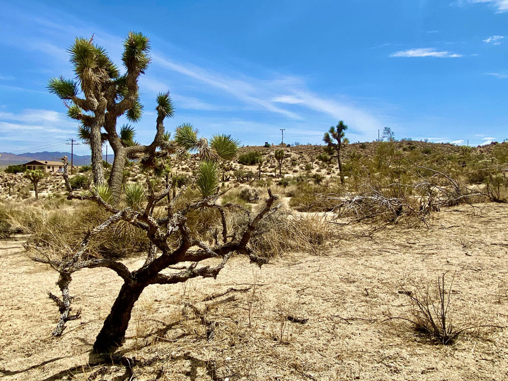 MLS #219133472PS image #20