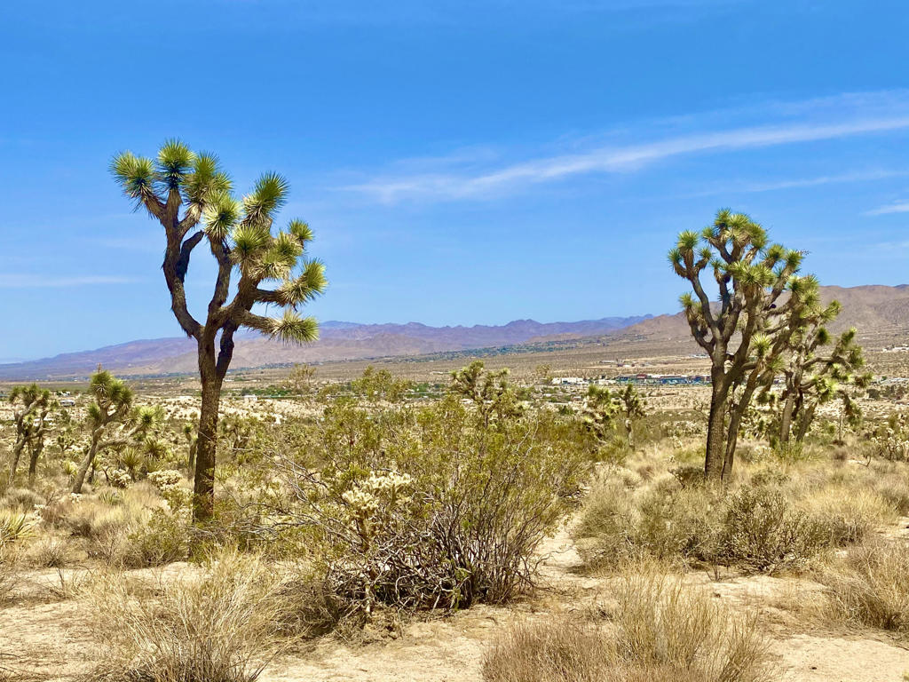 MLS #219133472PS image #21