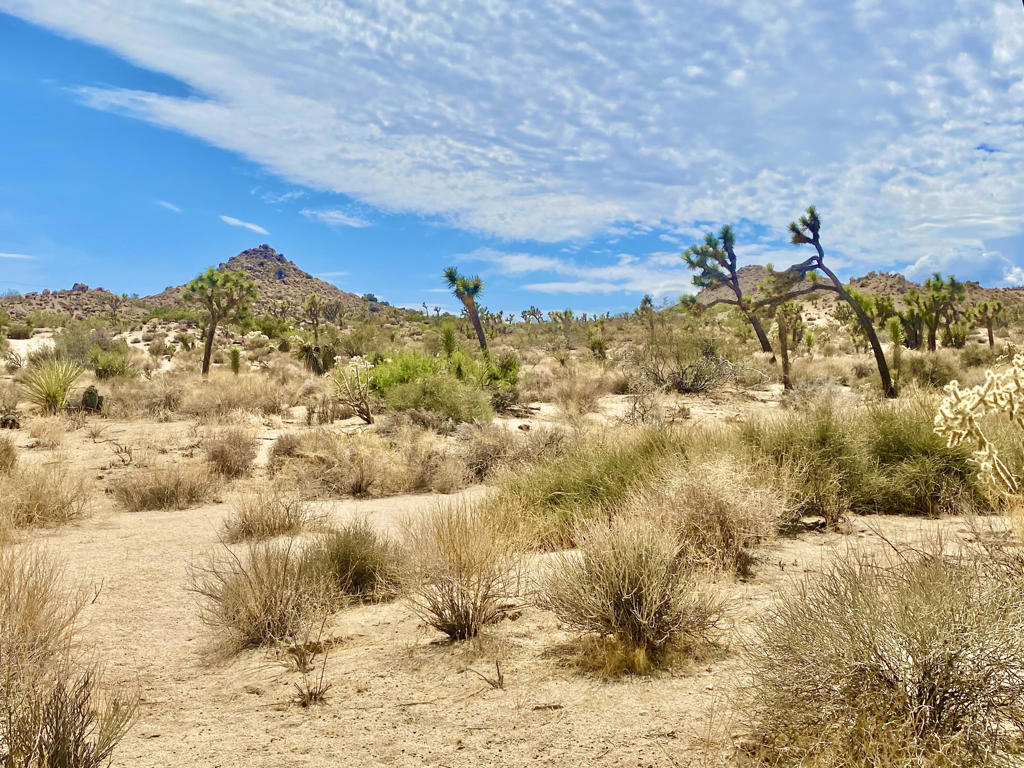 MLS #219133472PS image #23