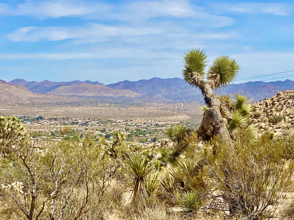 MLS #219133472PS image #26