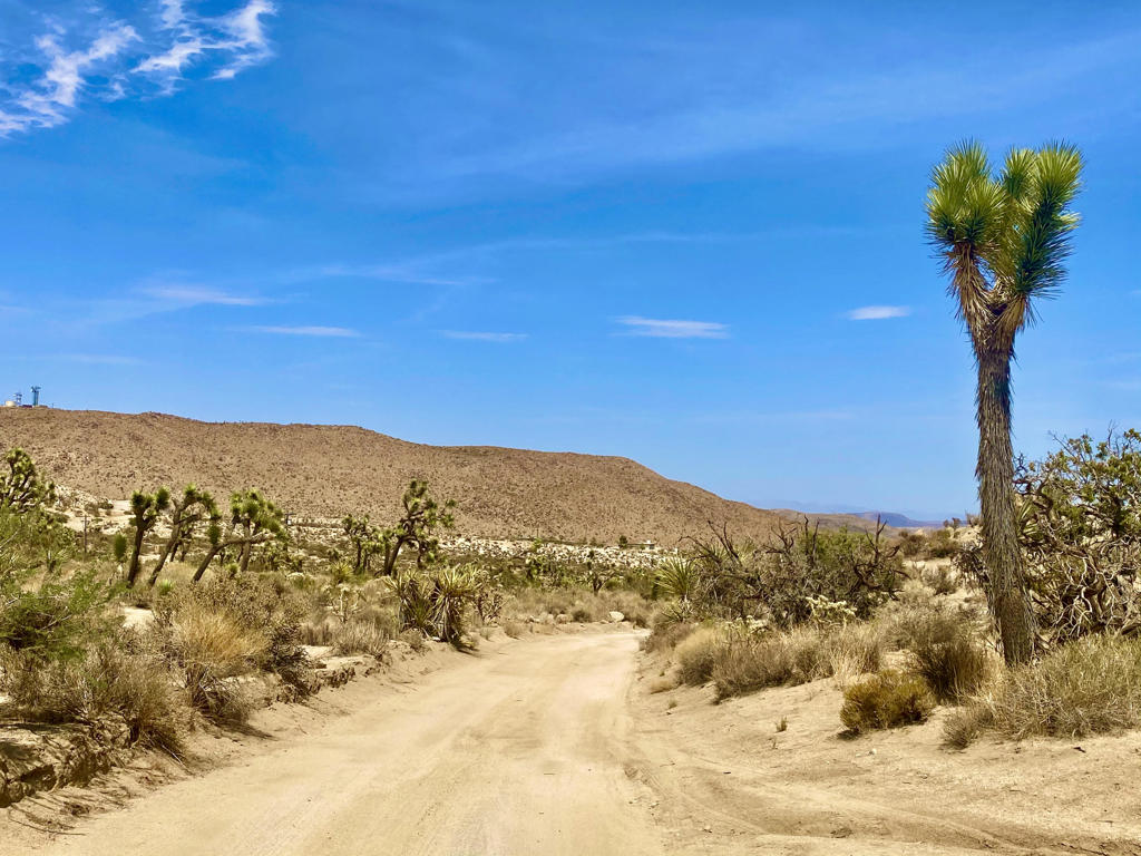 MLS #219133472PS image #36