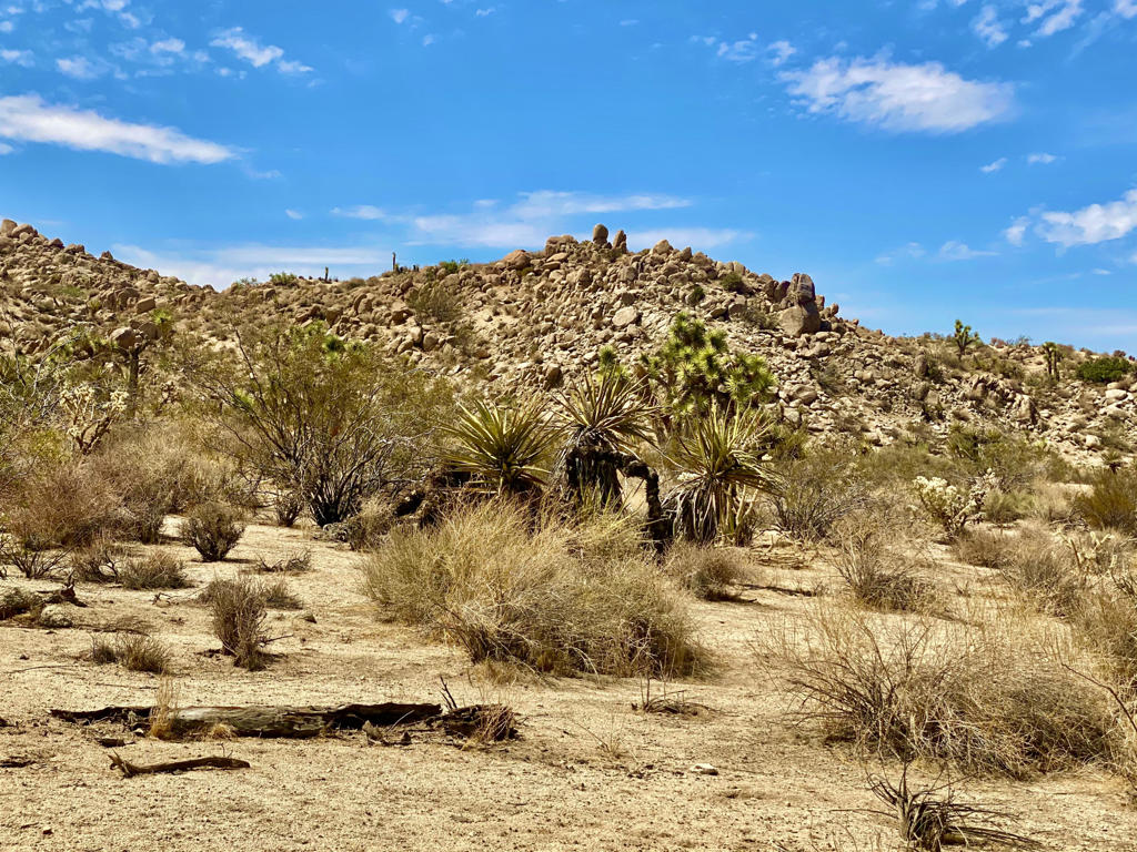 MLS #219133472PS image #37