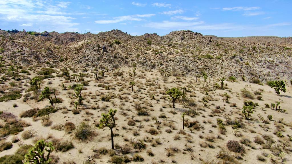 MLS #219133472PS image #40