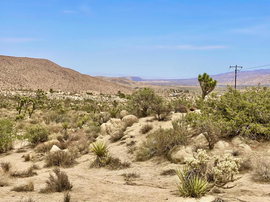 MLS #219133472PS image #5