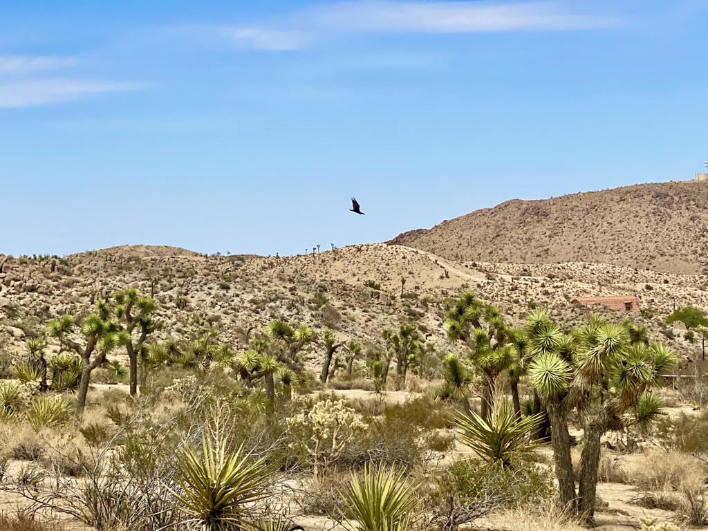 MLS #219133472PS image #7