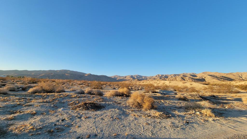 MLS #219133479DA image #4