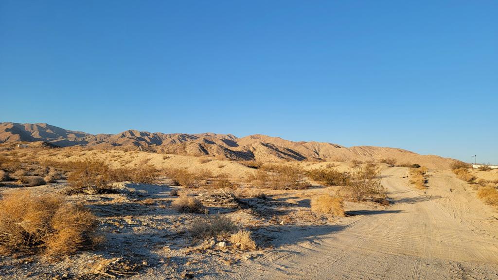 MLS #219133479DA image #5