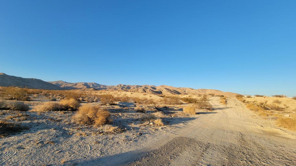 MLS #219133479DA image #6