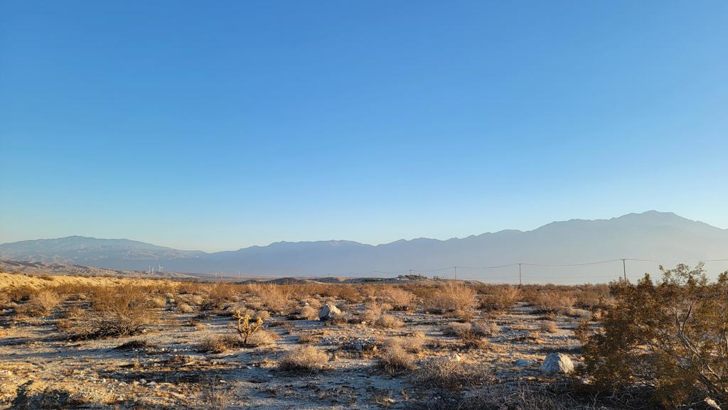 MLS #219133479DA image #8