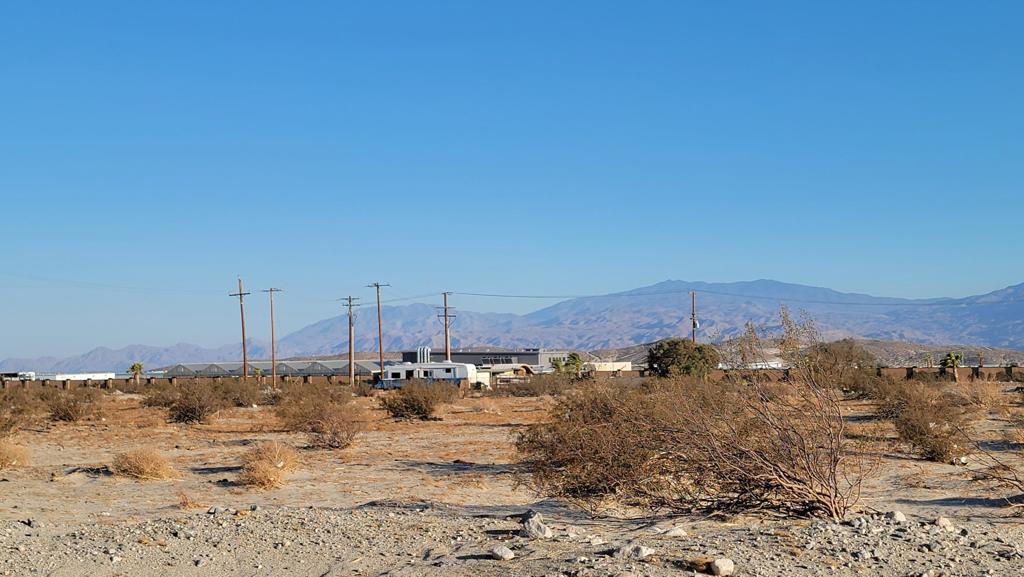 MLS #219133498DA image #7