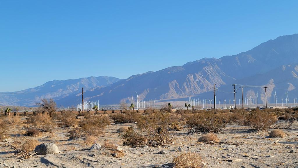 MLS #219133498DA image #8