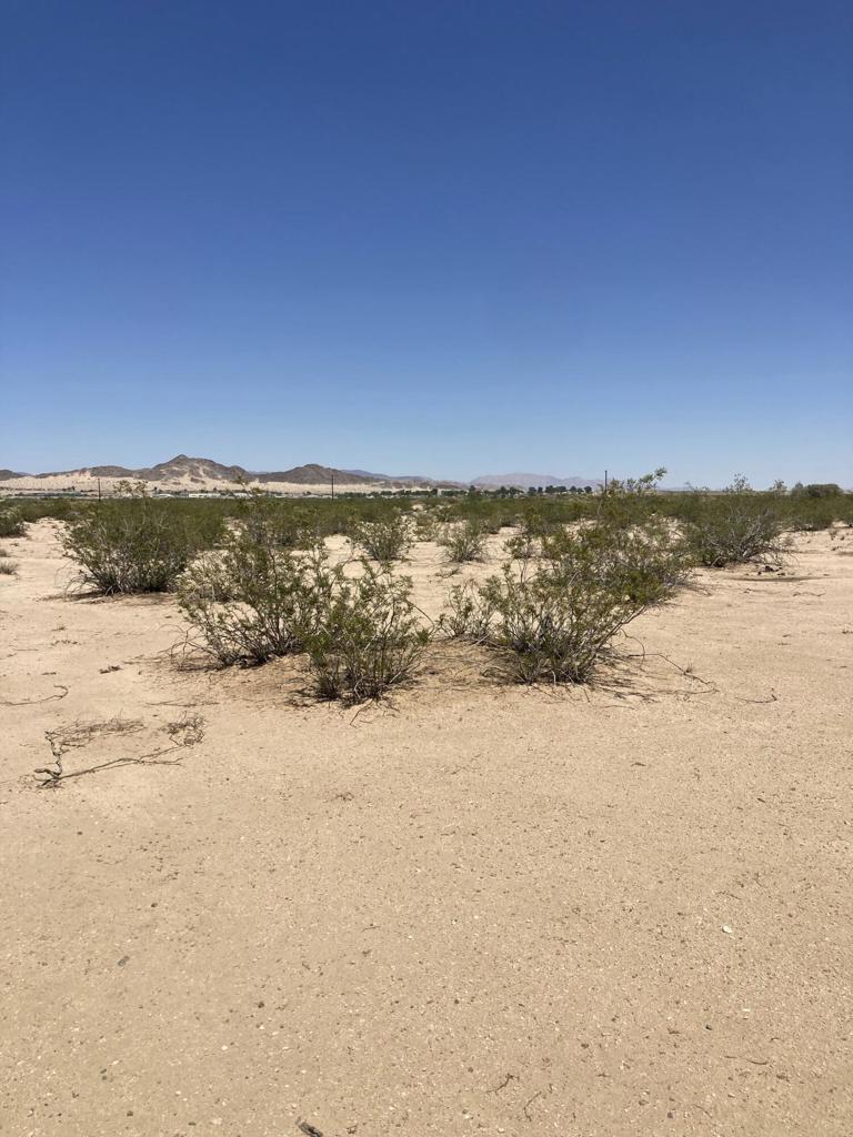 MLS #219133511DA image #1