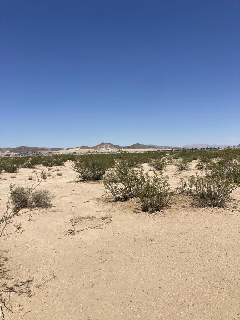 MLS #219133511DA image #2