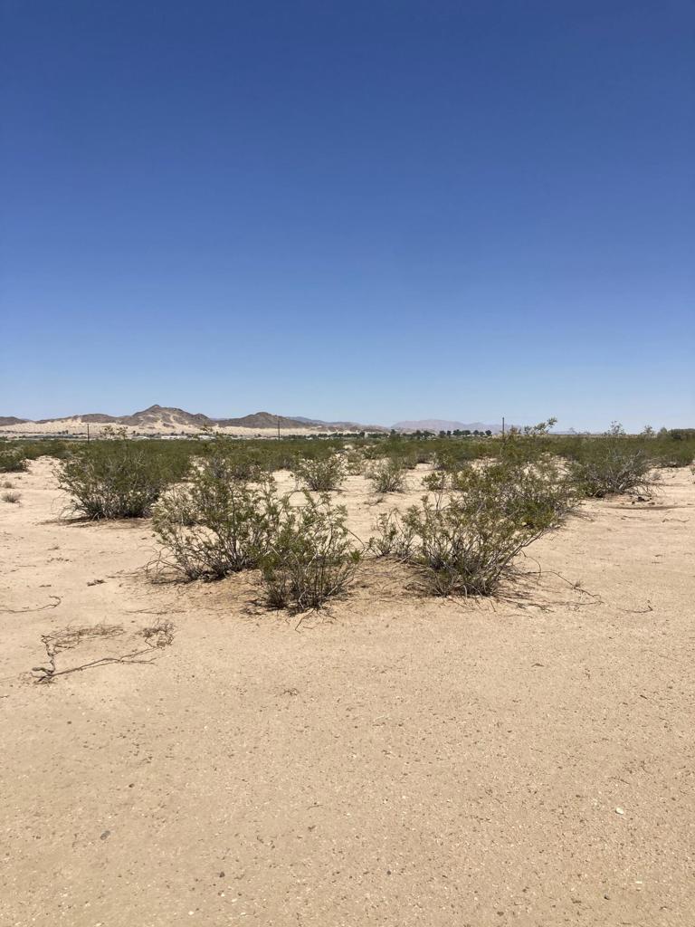 MLS #219133511DA image #3