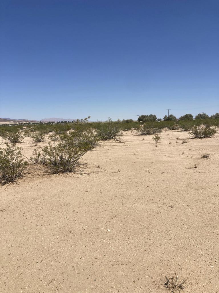 MLS #219133511DA image #4