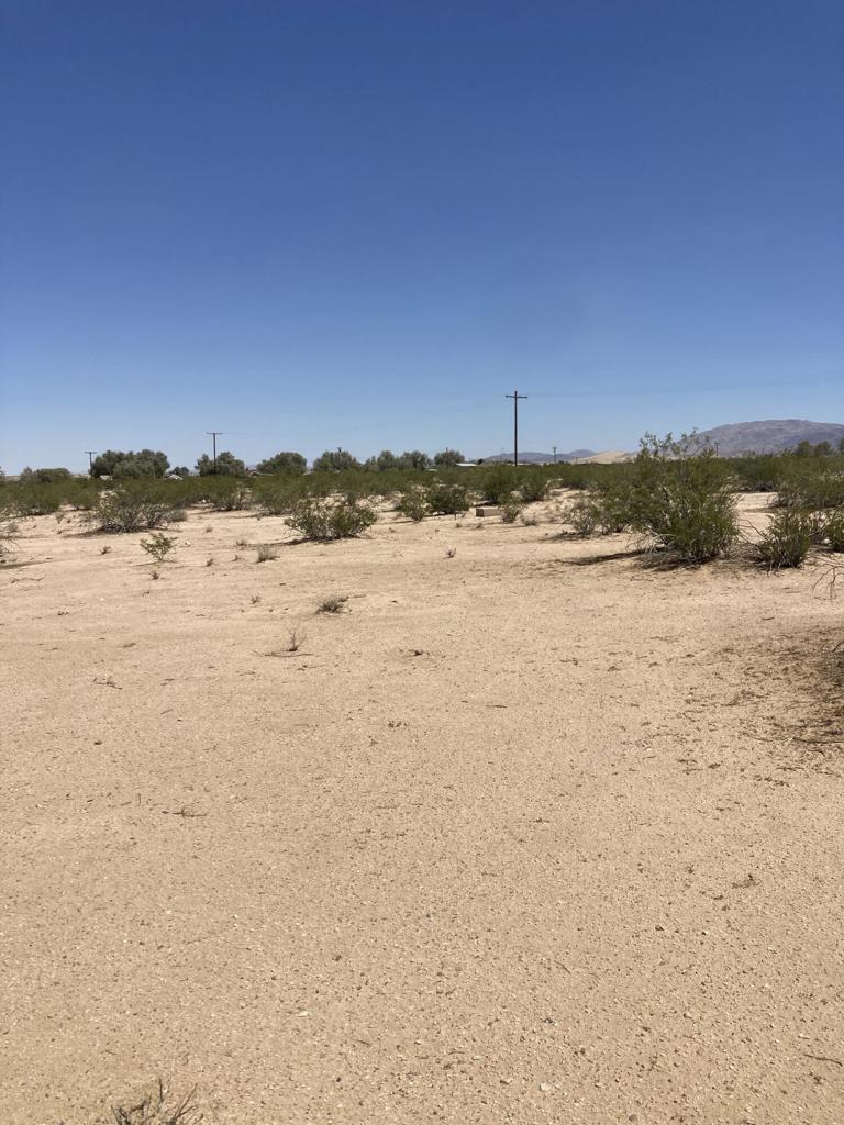 MLS #219133511DA image #5