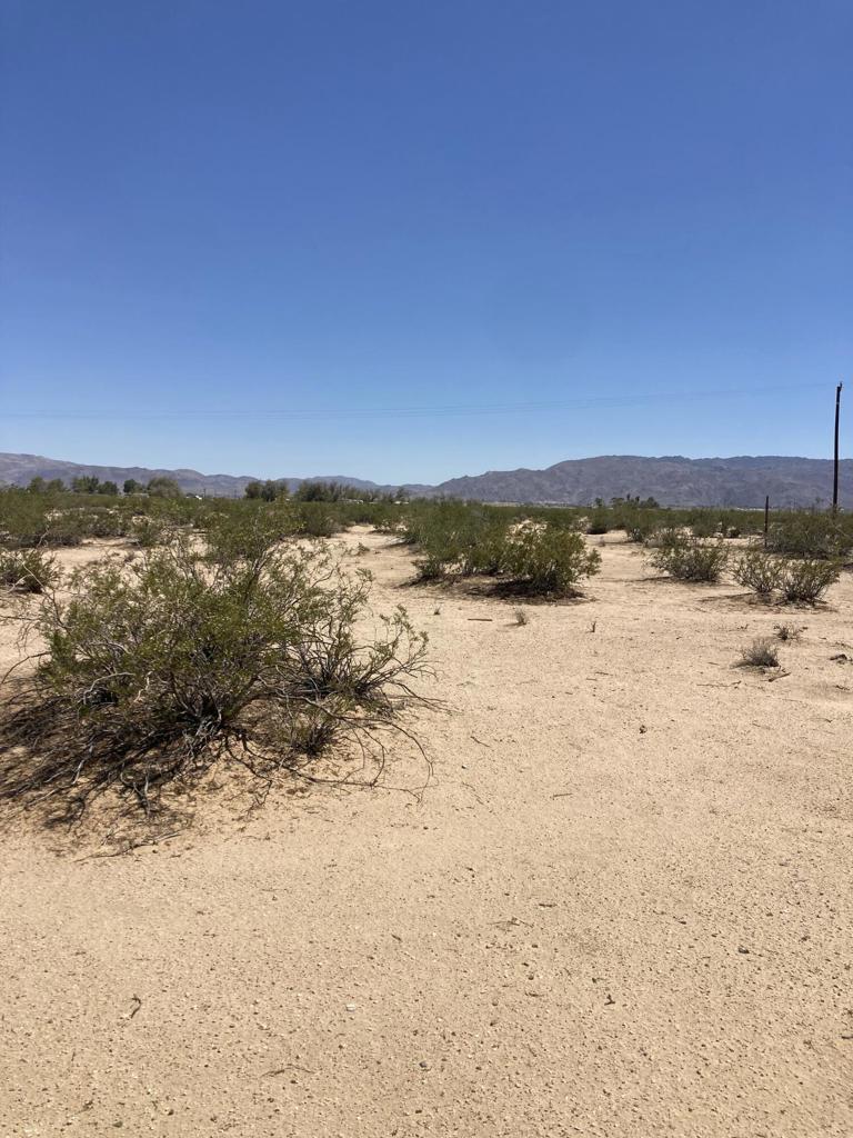 MLS #219133511DA image #6