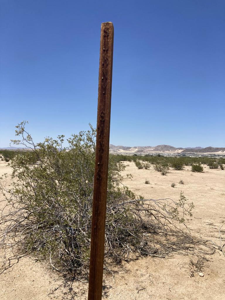 MLS #219133511DA image #7