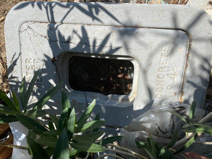 MLS #219133530DA image #3