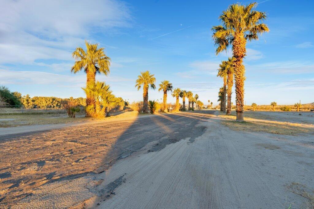 MLS #219133566DA image #14