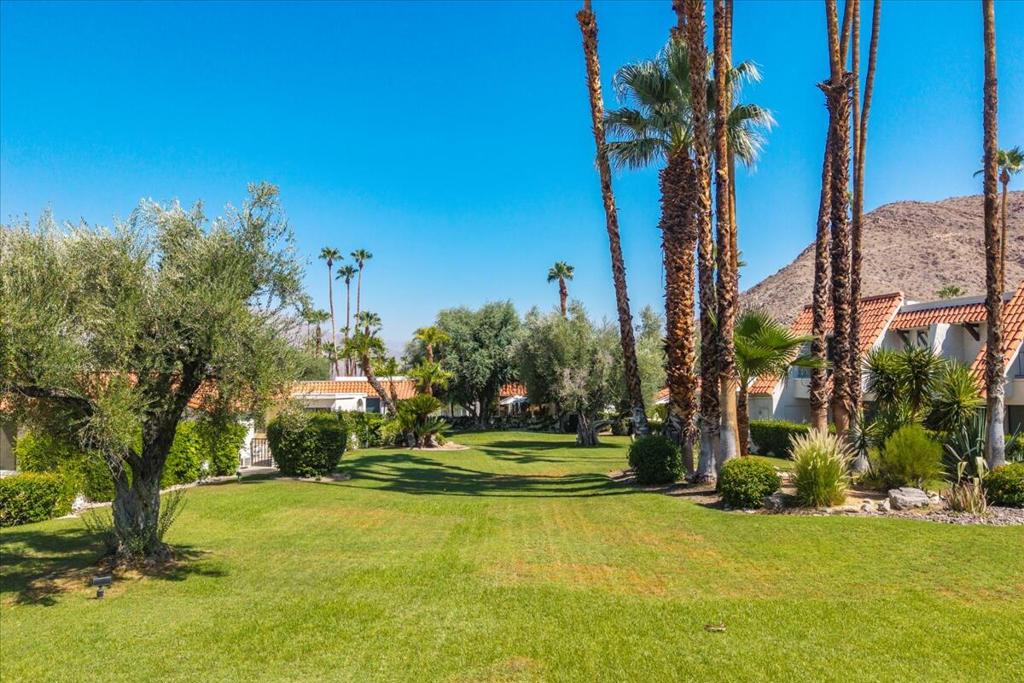 MLS #219133624DA image #41