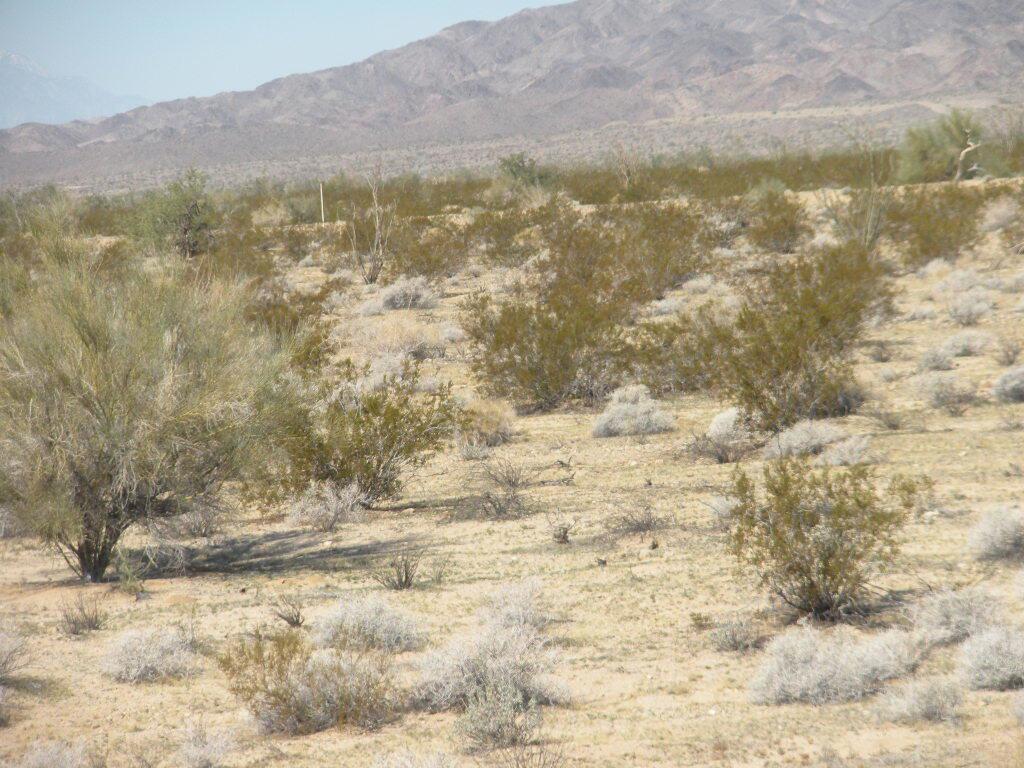 MLS #219133642DA image #7