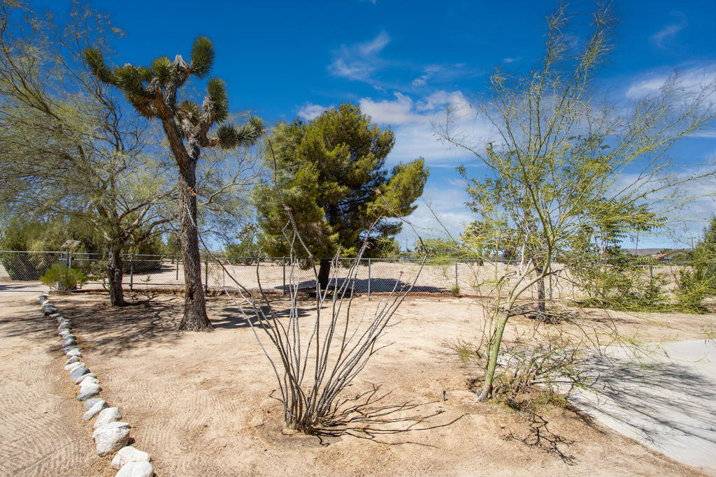 MLS #219133680PS image #11