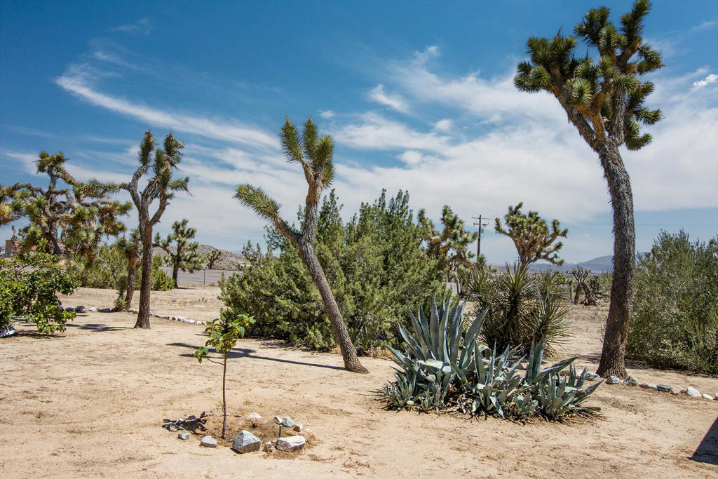 MLS #219133680PS image #52