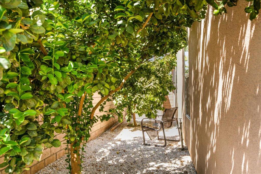 MLS #219133727DA image #29