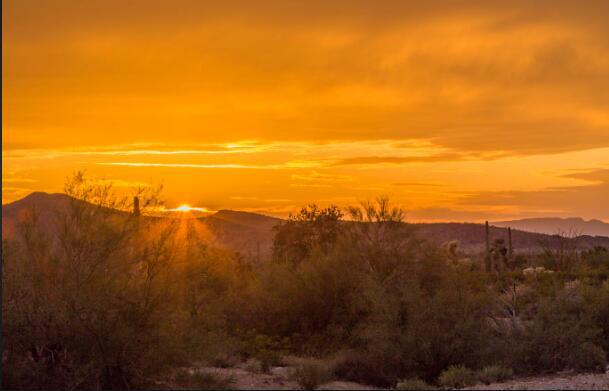 MLS #219133729DA image #5