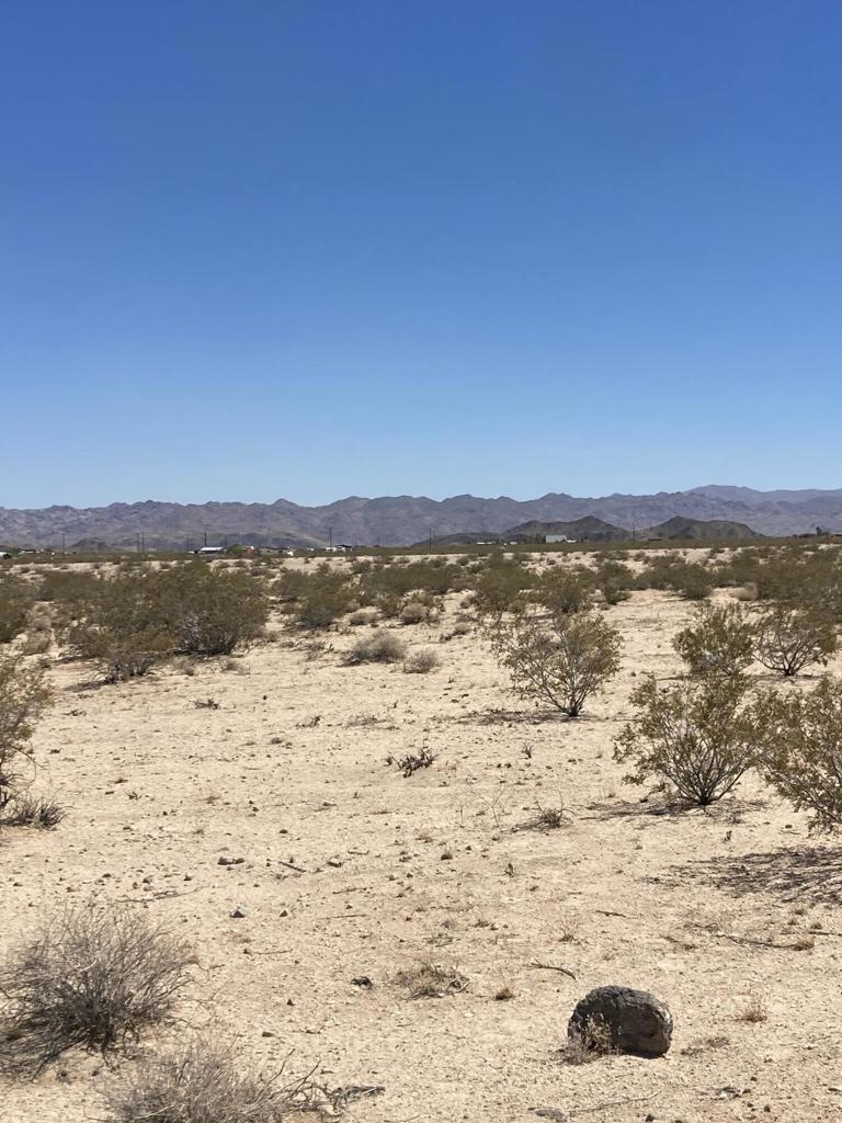 MLS #219133756DA image #1