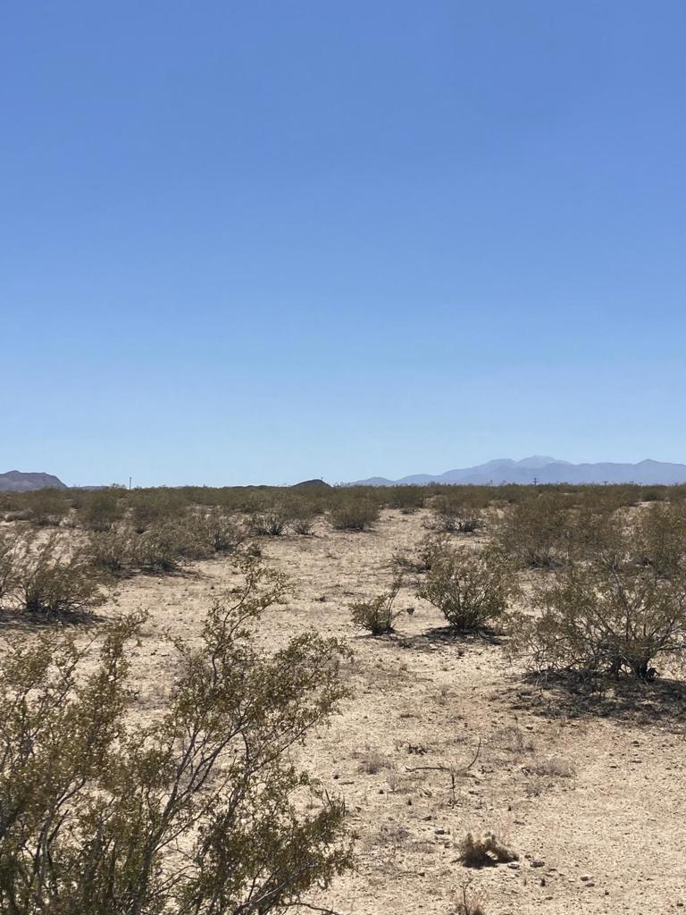 MLS #219133756DA image #2