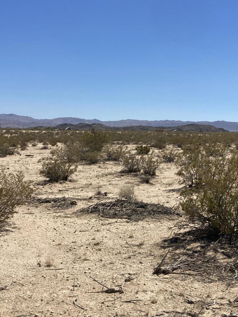 MLS #219133756DA image #3