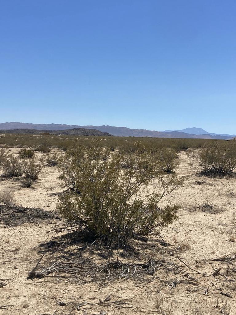 MLS #219133756DA image #5